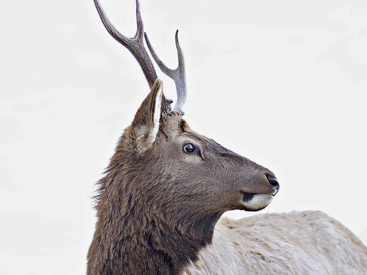 How To Find Good Spots For Nature Inspired Photo-Shoots